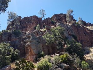 Pinnacles National Park