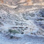 Switchbacks on Havasupai Hike