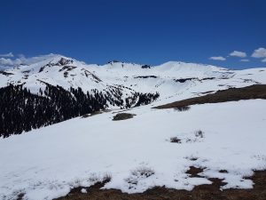 Snow covered field at Independence Pass