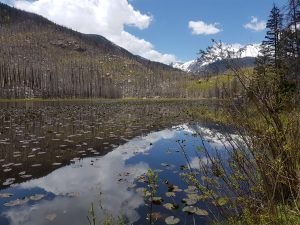 Cub Lake, Rocky Mountain National Park