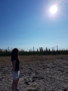 Observing the solar eclipse in action