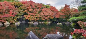 Changing leaves at the Koko-en garden by Himeji Castle
