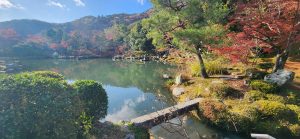 The changing fall leaves of Tenryu-ji Temple in Kyoto